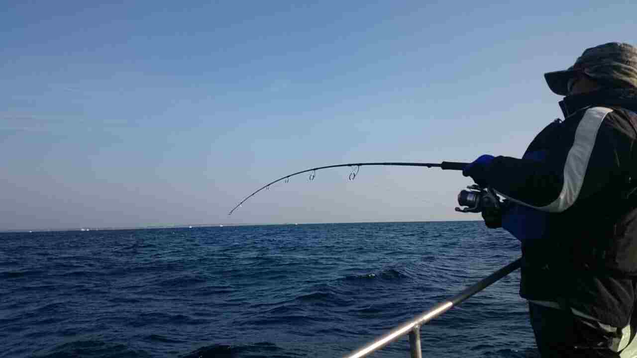 a0248152_1821623.jpg