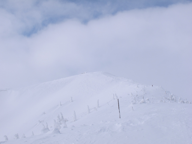 c0116856_17212575.jpg