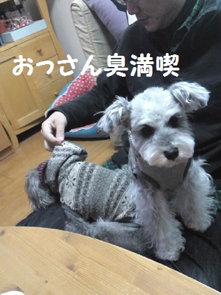 a0230864_19144546.jpg