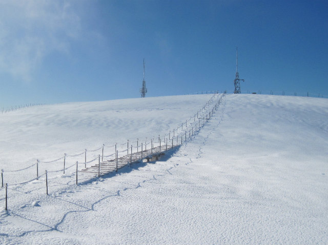 c0219866_1854998.jpg