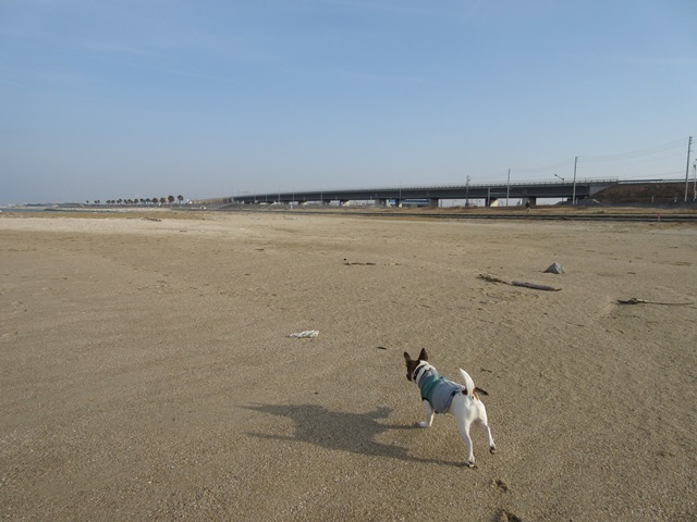 f0100871_21315071.jpg