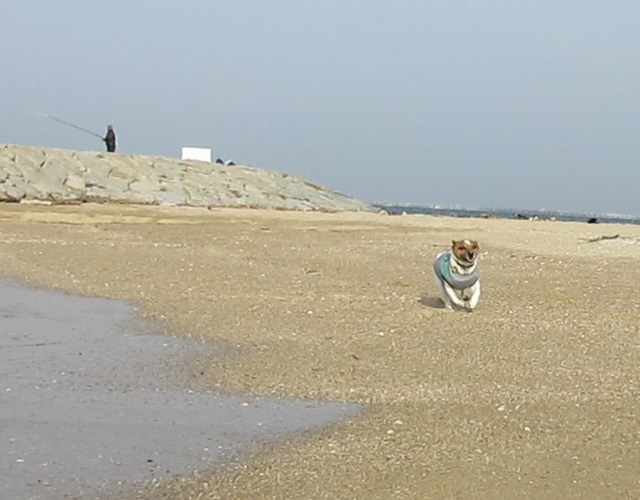 f0100871_21321166.jpg