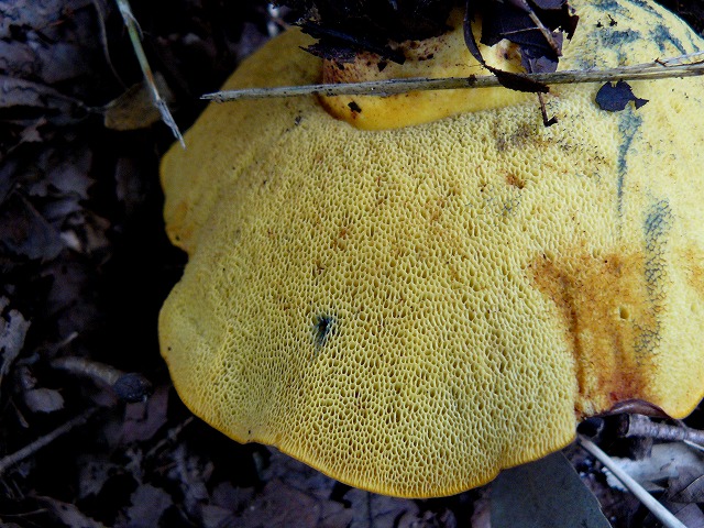 d0019074_981525.jpg