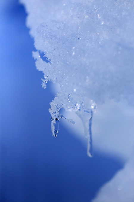 f0001895_12343424.jpg