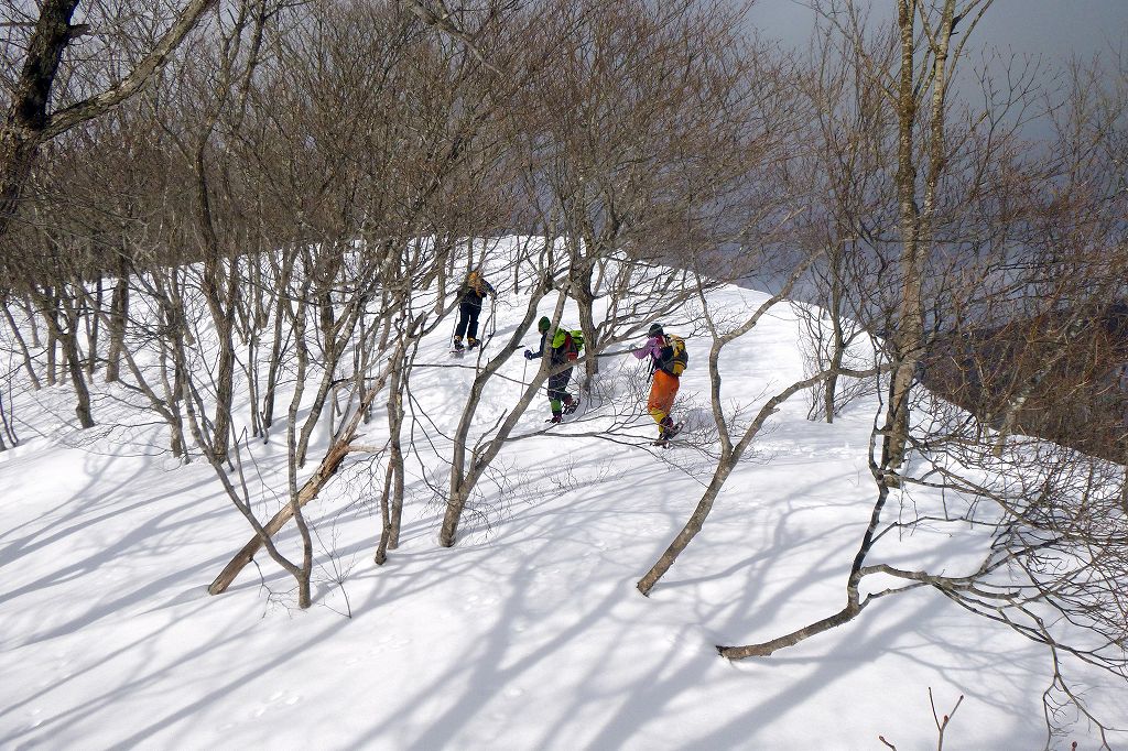 e0137200_2047777.jpg