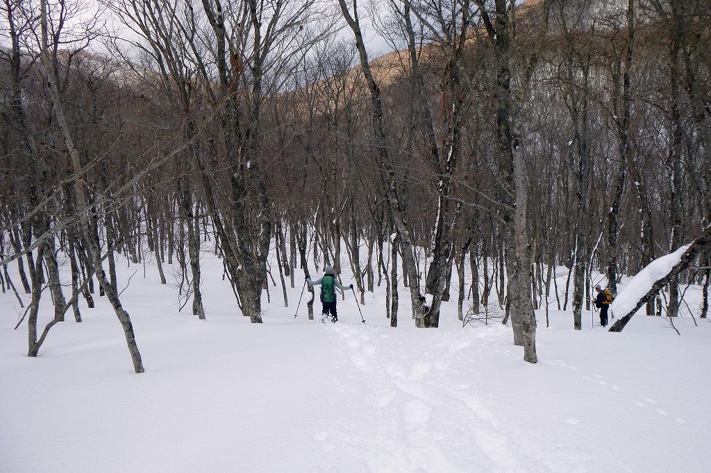 e0137200_20483923.jpg