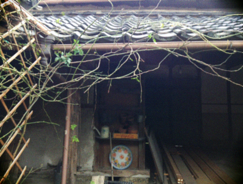 d0077603_12195869.jpg