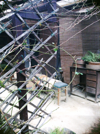 d0077603_12225131.jpg