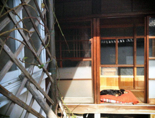 d0077603_176958.jpg