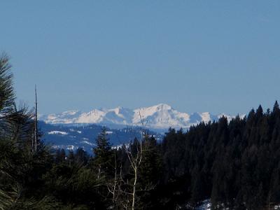 a0310405_02120367.jpg