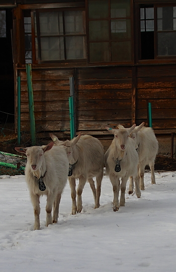 a0251508_2052679.jpg