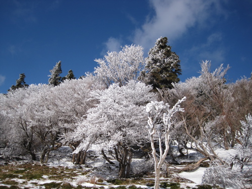 a0164011_17562368.jpg