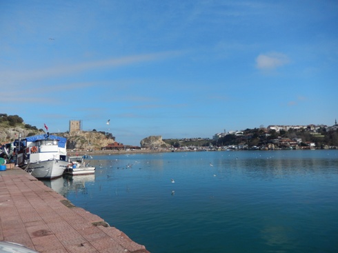 b0182718_231338.jpg