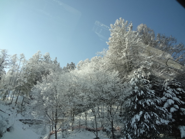 f0148927_21515160.jpg