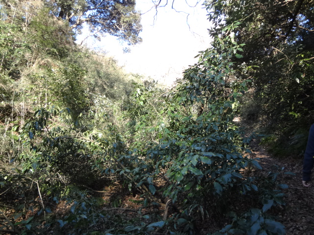 f0148927_2245244.jpg