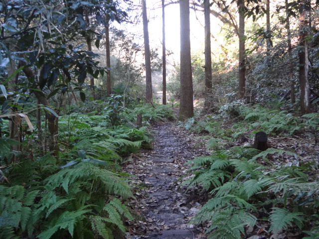 f0148927_2282215.jpg