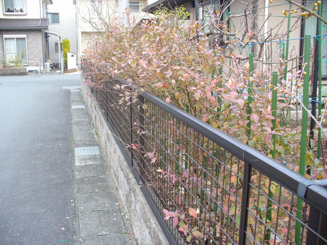 f0346527_2221097.jpg