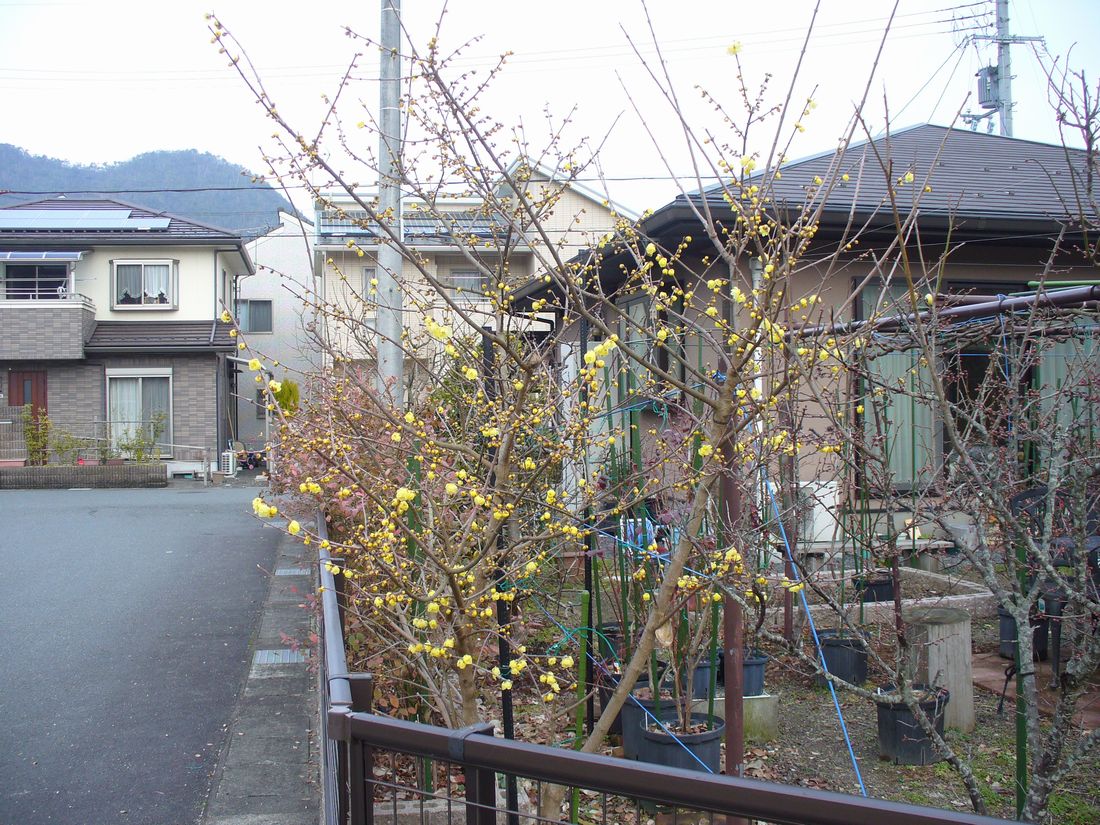 f0346527_22221157.jpg