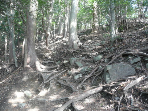 c0009528_16365489.jpg