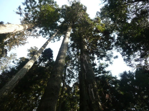 c0009528_16370019.jpg