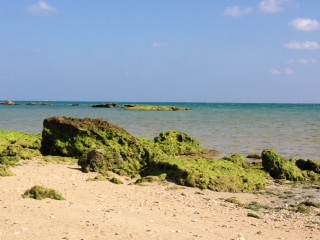 c0051529_145622.jpg