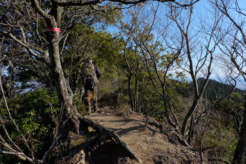 b0281732_15555382.jpg