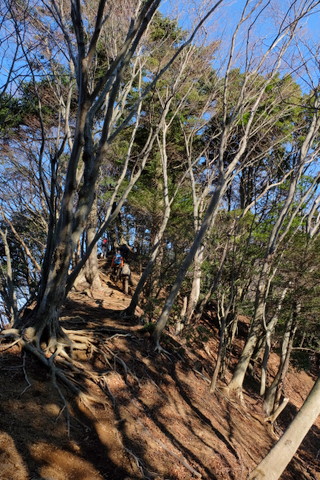 b0281732_15561562.jpg