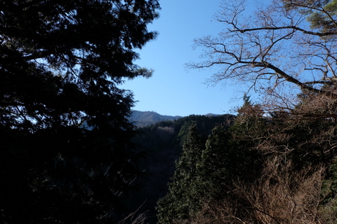 b0281732_1556238.jpg