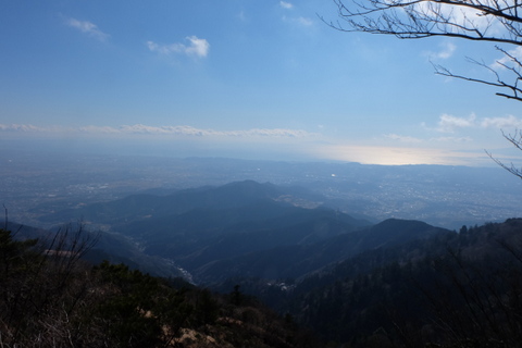 b0281732_155873.jpg
