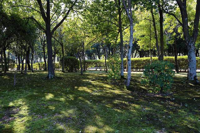 a0242438_1918387.jpg