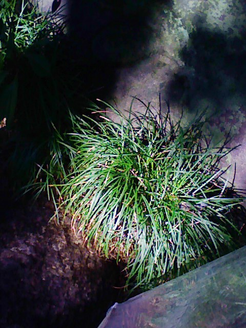 b0031140_18284673.jpg