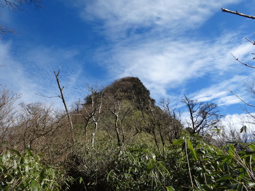 a0289641_1975644.jpg