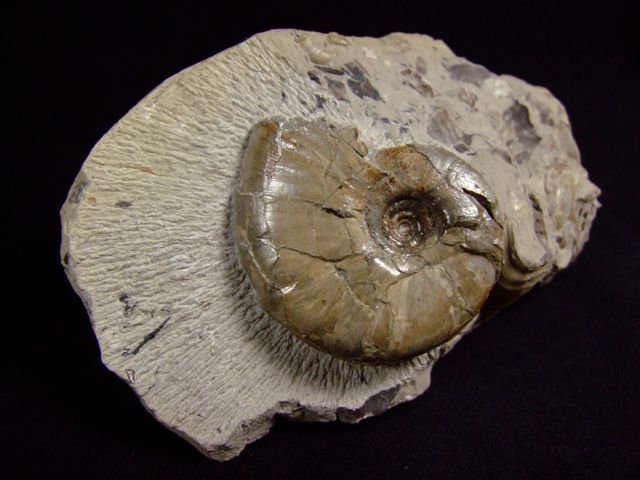 e0290546_1046641.jpg