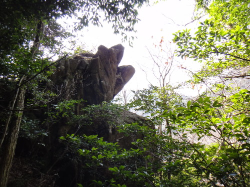 c0179351_214436.jpg