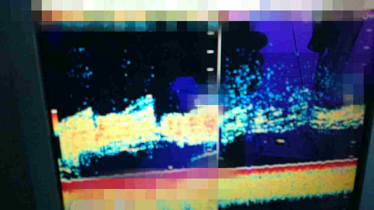 a0248152_1743469.jpg