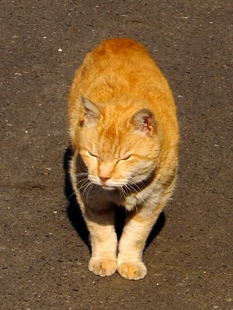 c0039153_22454438.jpg