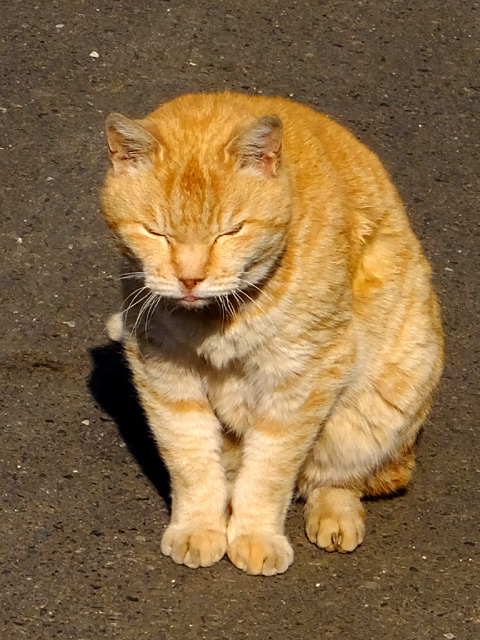 c0039153_22454933.jpg