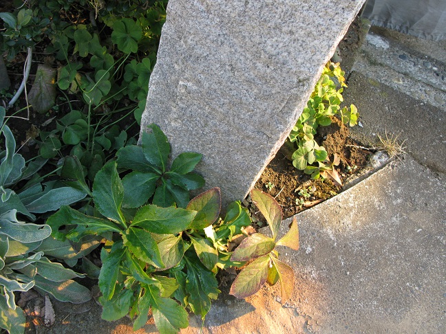 a0052762_5403798.jpg
