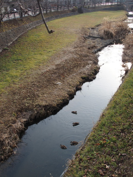 c0122670_22494404.jpg