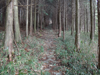 d0182075_514959.jpg
