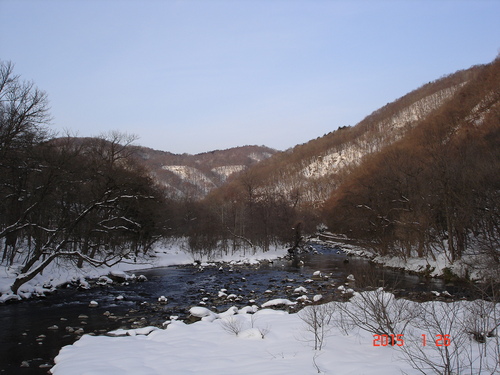 d0165378_842389.jpg