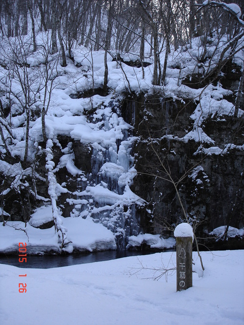 d0165378_8466100.jpg