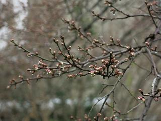 e0130185_17571635.jpg