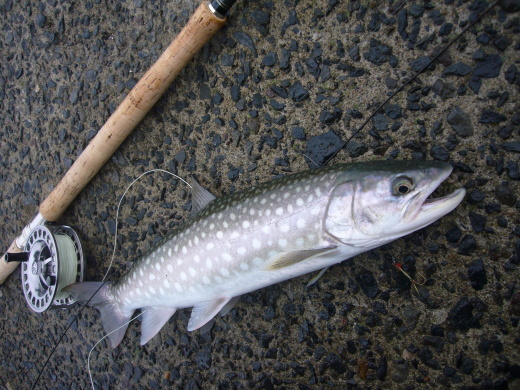 a0118989_22500997.jpg
