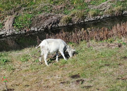 e0143690_12241292.jpg