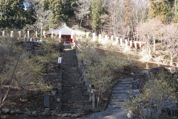 f0353990_18491208.jpg