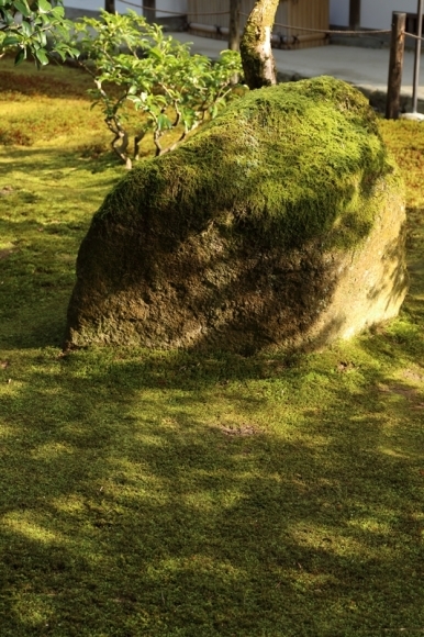 e0251895_22521297.jpg
