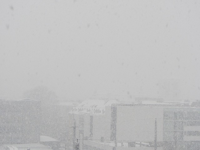 c0167813_1822826.jpg