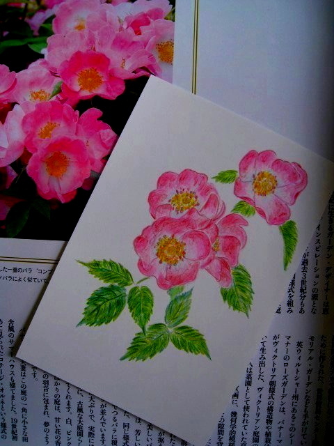 f0302024_20223319.jpg