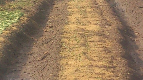 c0300035_112723.jpg